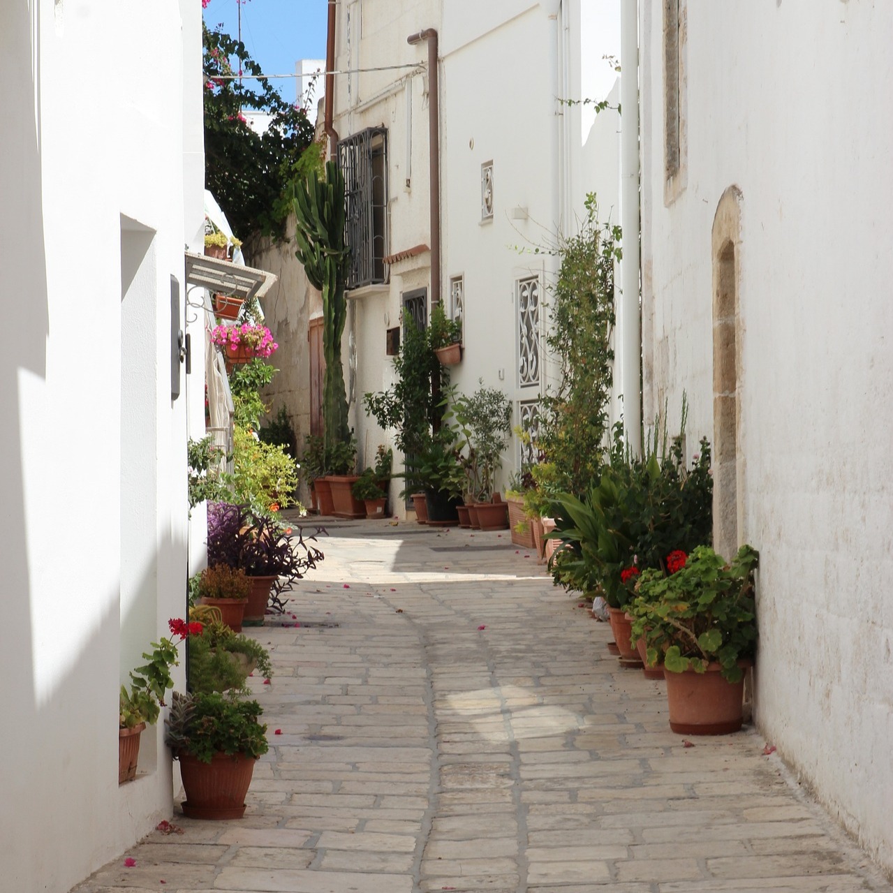 Ceglie Messapica...un borgo da scoprire